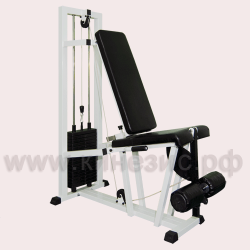 Разгибатель - №20 (60 кг)