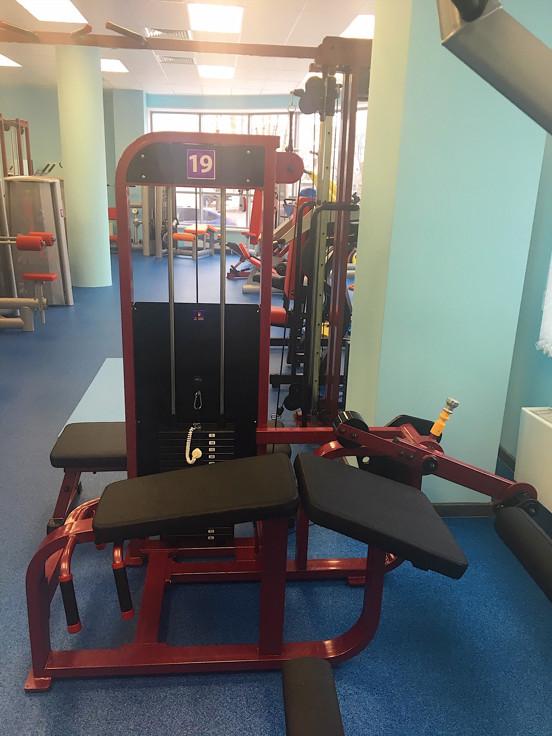 Бицепс бедра №19 ПРОФИ (80 кг)